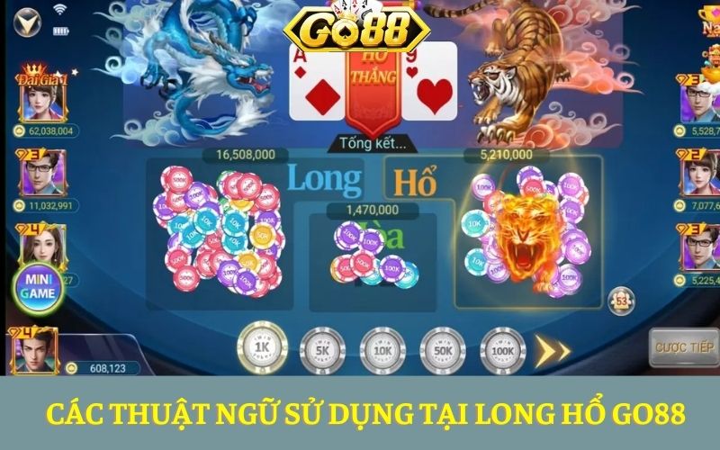 Các thuật ngữ sử dụng tại Long Hổ Go88